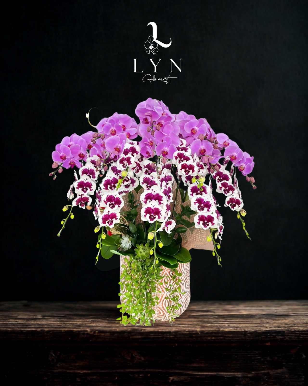 Chậu Hoa Lan 2358 mix Hồng 243